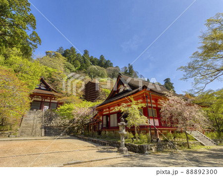 春の談山神社 88892300