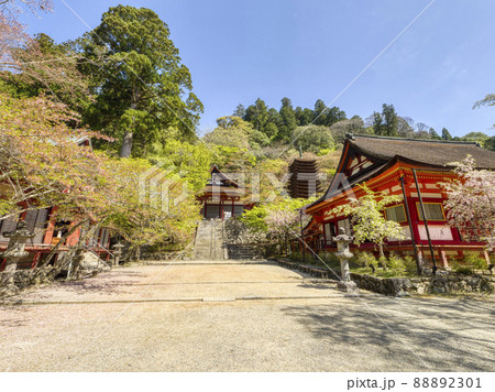 春の談山神社 88892301