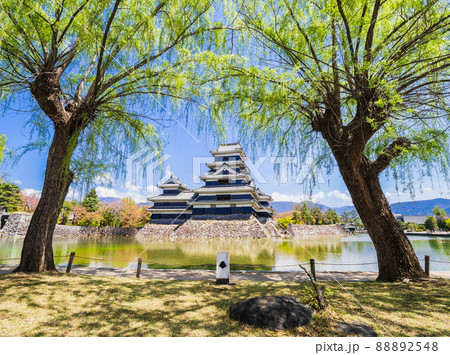 国宝　春の松本城 88892548