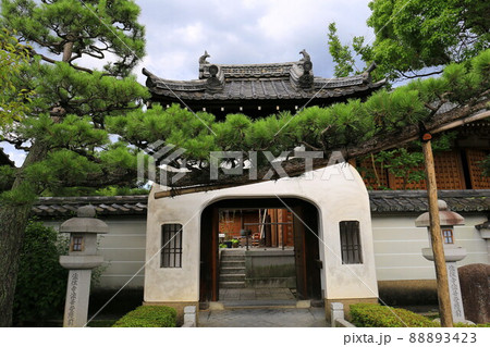 法住寺の竜宮門と松の木 88893423