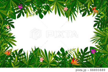 Tropical botanical foliage flower banner flat style. Exotic palm leaf monster jungle summer spring background. Design spa beauty salon cosmetics presentation template promotion excursion paradise trip 88893889