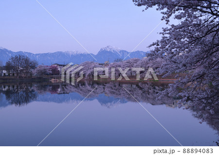 北杜市長坂町、長坂湖の春、満開の桜、静かな朝 北杜市長坂町、長坂湖の春、満開の桜、静かな朝 88894083