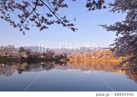 北杜市長坂町、長坂湖の春、満開の桜、湖面の水鳥、朝日が当たる山並み 北杜市長坂町、長坂湖の春、満開の桜、湖面の水鳥、朝日が当たる山並み 88894340