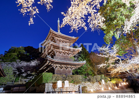 ライトアップに映える三重塔と桜 88894865