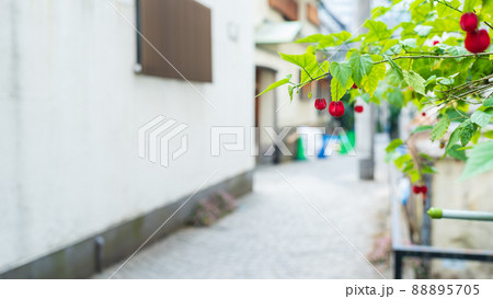 「東京都」神楽坂・路地裏の風景 88895705