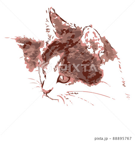 猫の横顔　ピンク 88895767