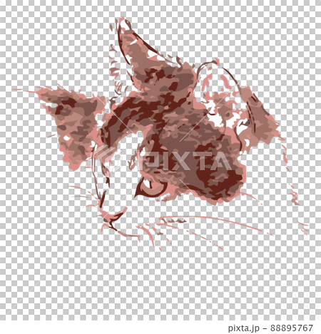 猫の横顔　ピンク 88895767