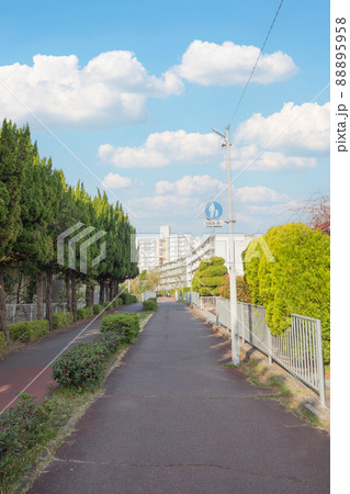 団地にある遊歩道、自転車道 88895958