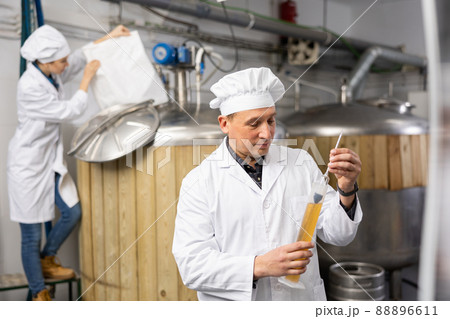 Brewery owner checking alcoholic content in beer with hydrometer Brewery owner checking alcoholic content in beer with hydrometer 88896611