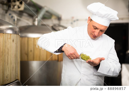Focused brewer checking quality of hop pellets in brewery Focused brewer checking quality of hop pellets in brewery 88896857