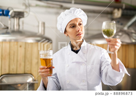 Female brewer examining quality of beer and hop pellets in glasses Female brewer examining quality of beer and hop pellets in glasses 88896873