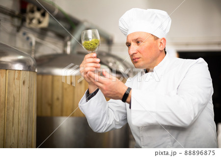 Brewer with glass filled with fresh hops at brewery 88896875