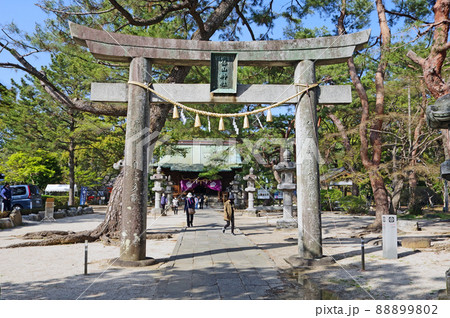 福岡県の久留米城本丸跡にある篠山神社 福岡県の久留米城本丸跡にある篠山神社 88899802