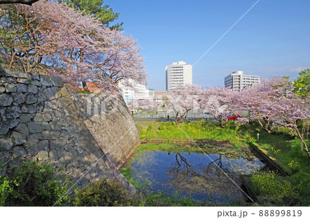 福岡県の人気観光スポット久留米城跡お堀と桜 88899819