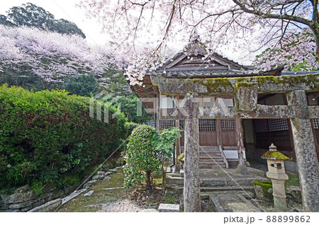 福岡県朝倉市秋月にある日蓮宗福王山本證寺 88899862