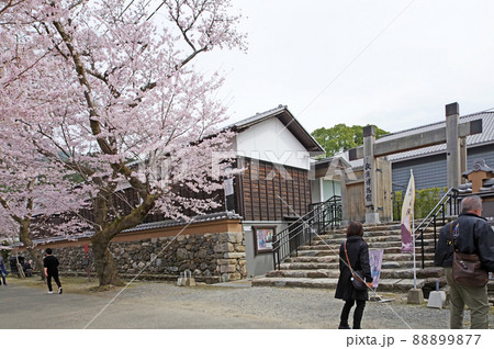 人気観光スポット福岡県朝倉市城下町秋月博物館と桜 88899877