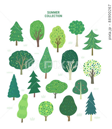 木 植物 夏 88900267