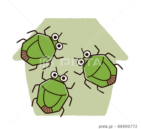 家に集まるカメムシの群れ 88900772