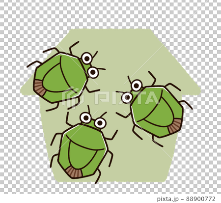 家に集まるカメムシの群れ 88900772