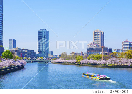 大川沿いの桜並木　源八橋方面 88902001