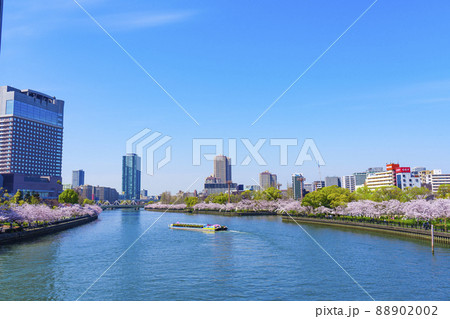 大川沿いの桜並木　源八橋方面 88902002