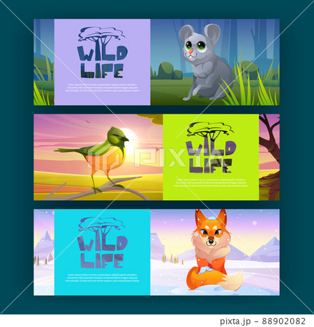 Wildlife posters with cute fox, bird, and mouse 88902082