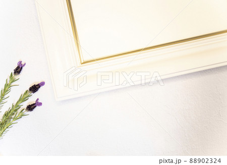 ラベンダー 白いフレーム ラベンダー 白いフレーム 88902324