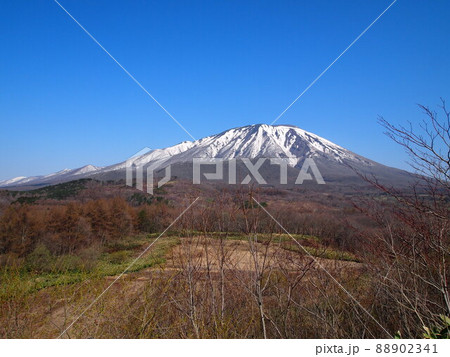 初春の春小谷地峠 初春の春小谷地峠 88902341