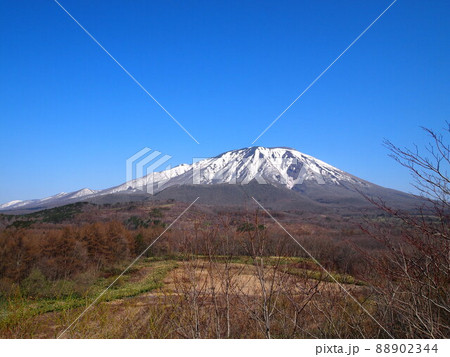 初春の春小谷地峠 初春の春小谷地峠 88902344