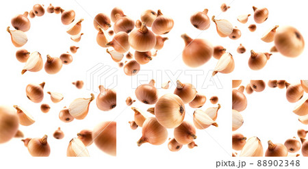 A set of photos. Ripe Golden onion levitates on a white background A set of photos. Ripe Golden onion levitates on a white background 88902348