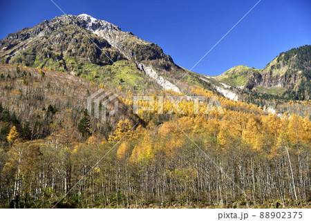 紅葉の焼岳 88902375