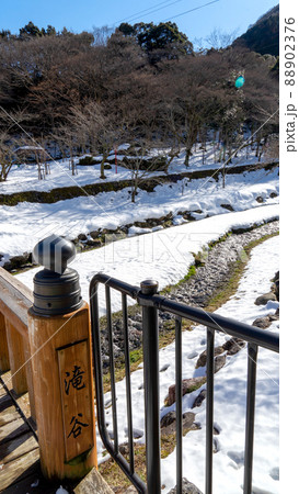 養老の滝 88902376