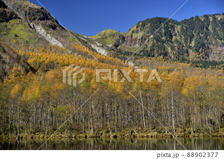 紅葉の焼岳 88902377