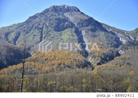 紅葉の焼岳 紅葉の焼岳 88902411