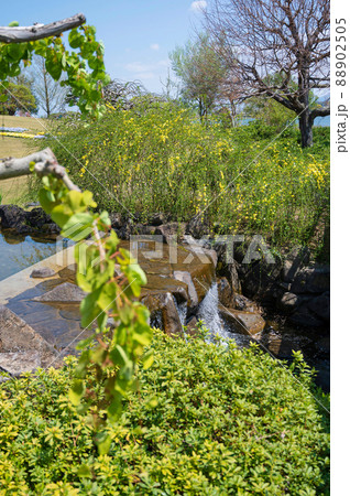 草津市水生植物公園 草津市水生植物公園 88902505