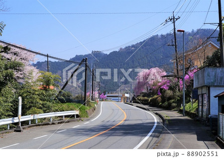 道志みち　青野原地区（神奈川県相模原市） 88902551