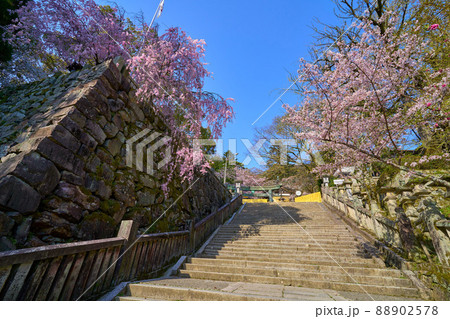 香川県琴平町の金刀比羅宮 桜馬場西詰銅鳥居を見上げる石段 香川県琴平町の金刀比羅宮 桜馬場西詰銅鳥居を見上げる石段 88902578