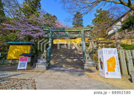 香川県琴平町の金刀比羅宮 桜馬場西詰銅鳥居を見る 88902580