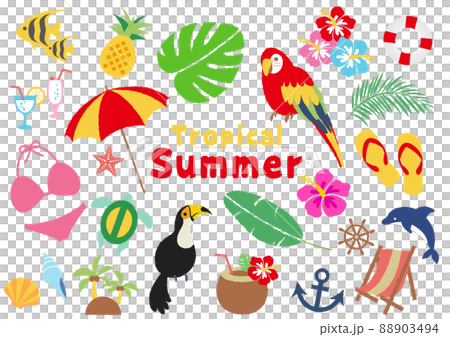 夏のトロピカルイラスト 88903494