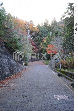 有馬温泉 タンサン坂 有馬温泉 タンサン坂 88903637