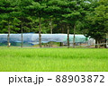 ビニールハウス 風景 水滴 88903872