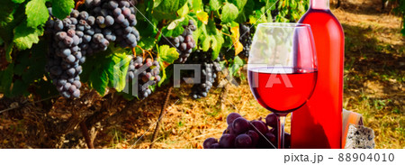 Glass of red wine 88904010