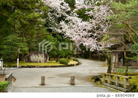 春　神宮司庁 88904069