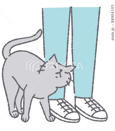 人の足に擦り寄る猫のイラスト 88904105