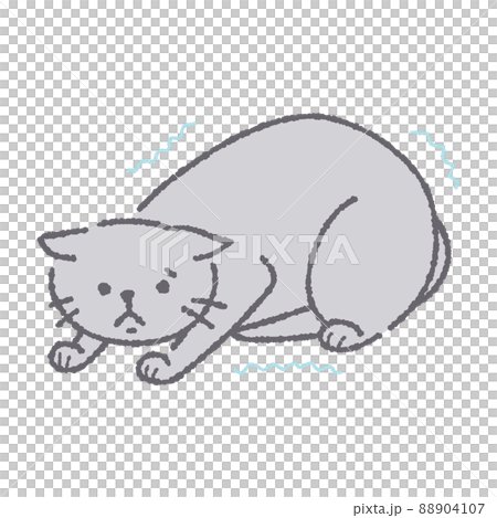 一隻顫抖的貓的插圖 88904107