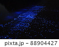 海蛍 88904427