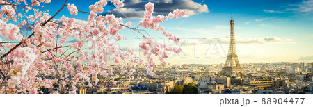 skyline of Paris with eiffel tower 88904477