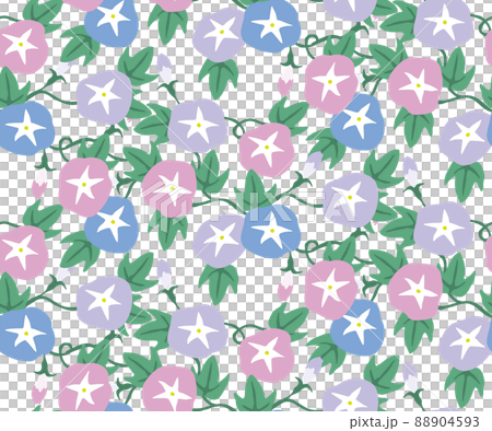 Morning glory seamless pattern - Stock Illustration [88904593] - PIXTA