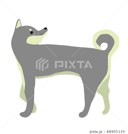 振り向きながら歩く黒柴のイラスト素材のイラスト素材