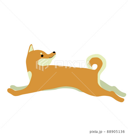 振り向きながら走る柴犬のイラスト素材のイラスト素材